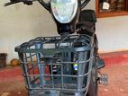 Electric Bike 2025