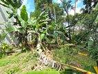 20.30P High Residential Bare Land For Sale In Battaramulla