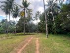 205 Perch Land for Sale – Kirillawala(ML-GAMKD-240)