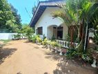 20.5 Perch Single Story House for Sale in ja ela H2049ABBC