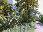 205.5 Perches of Land For Sale in Hikkaduwa - CP35903