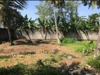 20p Bare Land for Sale in Boralasgamuwa