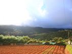 20P Bare Land For Sale In Nuwara Eliya
