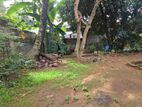 20P - Flat Land For Sale in Lewella (with old house)