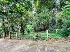 20P Land for Sale in Ampitiya (TPS2291)