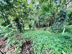 20P Land for Sale in Ampitiya (TPS2291)