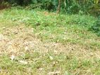 20p land for sale in aniwatta - kandy