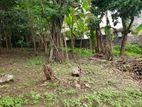 20p Land For Sale in Aruppola