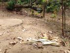 20p Land For Sale in Gannoruwa - Peradeniya