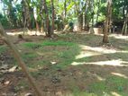 20p land For Sale in Yatihalagala - Peradeniya