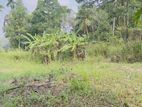20P Land for Sale Kaluwala Rd