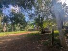 20P Land for Sale - Kurunegala, Millawa (Kandy Road)