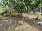 20p Land for Sale Piliyandala