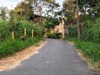 20P Land With House For Sale In Pelawatta Battaramulla