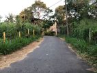 20P of Land for Sale in Liyanage Mw, Pelawatta (SL 14080)