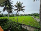 20P Paddy Field Facing Land For Sale In Maharagama