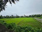 20P Paddy Field Facing Luxury Two Story House For Sale In Maharagama
