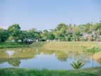 20P Prestigious Square Shaped Land For Sale In Battaramulla Pelawatta