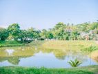 20P Prestigious Square Shaped Land For Sale In Battaramulla Pelawatta