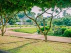 20P Prestigious Square Shaped Land For Sale In Battaramulla Pelawatta
