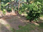 20P Prime Land for Sale in Yakkala