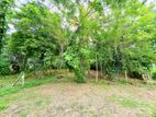 20P Residential Bare Land For Sale In Rajagiriya
