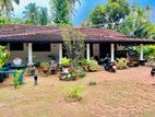 20P Spacious Garden With 3 Bed Rooms House For Sale Kandawala