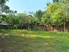 20P super Bare Land for sale in nawala