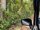 20Perch Flat Land for sale Thotagamuwa, Aluwiharaya