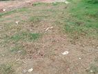 20perch land for sale in thibirigaskatuwa