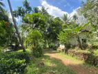 21 Acres Rubber Land for Sale in Rathnapura