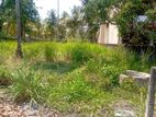 21 Perch Land For Sale Akkarapanaha Negombo Gampaha