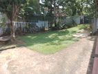 21 Perch Land with 02 Old Houses for Sale at Pelawatta, Battaramulla