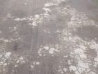 21 Perch Land with Old House for Sale in Nugegoda – Gamshabaha CVVV –A1