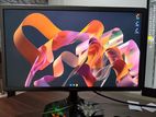 21" Redstone IPS Monitor