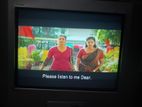 21" Sony TV