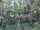 210 Perch Tourism Land for Sale In Dodampahala, Dikwella CGGG-A2