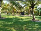 210 Perches land for sale in Negambo - PDL60