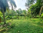 21.50P Residential Bare Land For Sale In Homagama