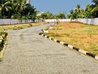 217 Perches Supreme Land for sale in Ratmalana Wedikanda Road (C7-6851)