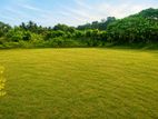 219 බස් පාර ලගින් සුපිරි බිම් කොටස්