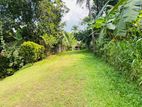 21P Land Facing Paddy Field at Kiriwattuduwa–BELOW the MARKET RATE