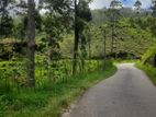 22 Acres of Land with Building in Nuwara Eliya