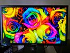 22 Inch Full HD HDMI LED Monitor