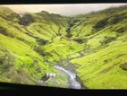 22” inch LCD Samsung Monitor
