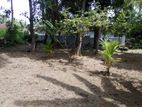 22 PERCH LAND for SALE in SEEDUWA