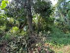 22 Perches Bare land for sale in Madinnagoda Road, Rajagiriya