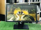 22” Wide LED Monitor (Dell)