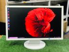 22" Wide LED Monitor (HDMI)