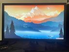 22” Wide Monitor